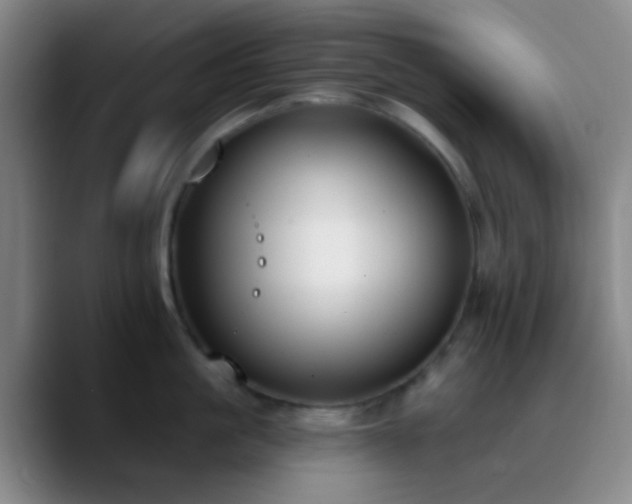 X0000090750861200707201448