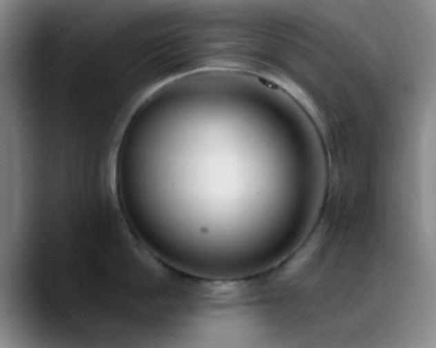 X0000090750862200707201448