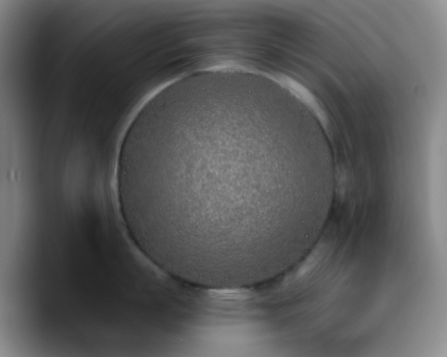 X0000090750863200707201448