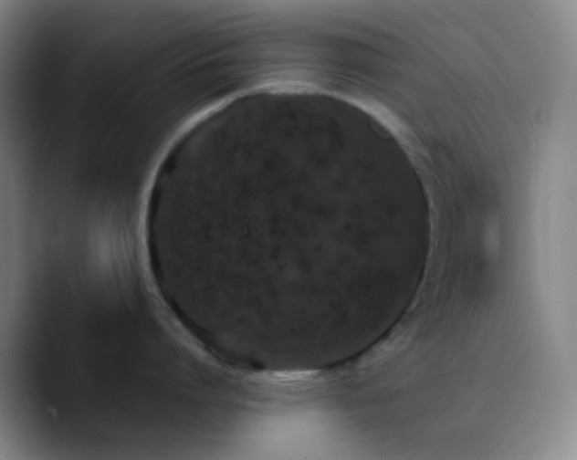 X0000090750864200707201448