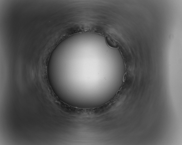 X0000090750865200707201447