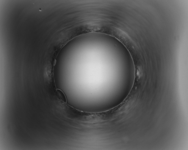 X0000090750867200707201447