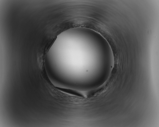 X0000090750868200707201447