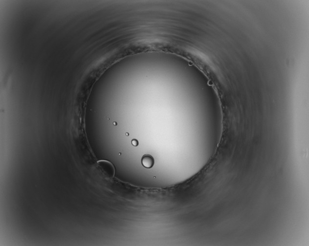 X0000090750871200707201447