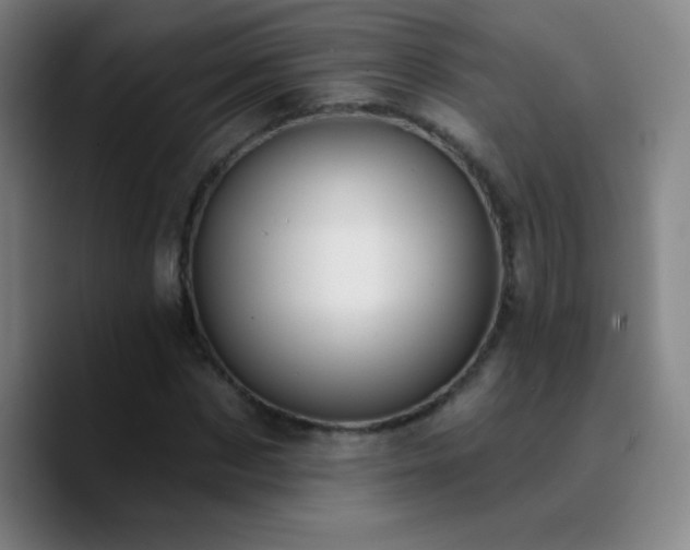 X0000090750873200707201447