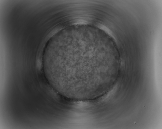 X0000090750874200707201447