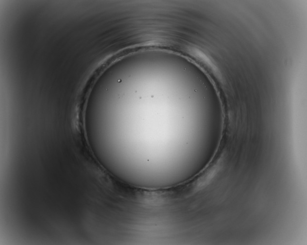 X0000090750875200707201447