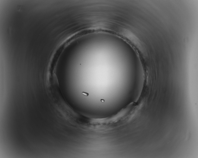 X0000090750876200707201447