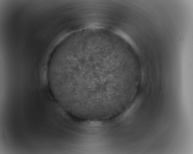 X0000090750878200707201447