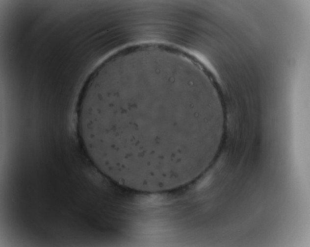 X0000090750879200707201447