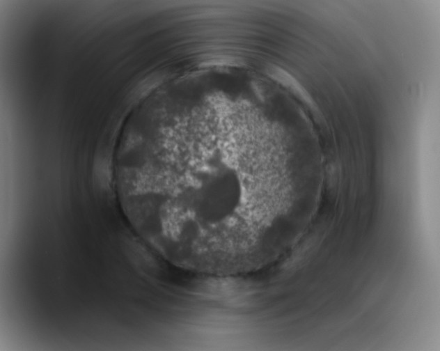 X0000090750882200707201447