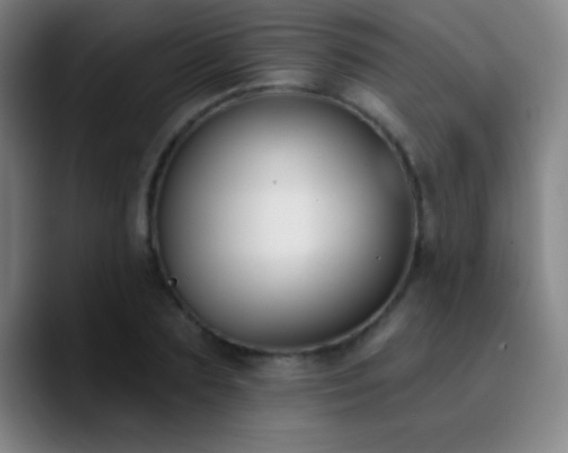 X0000090750883200707201447