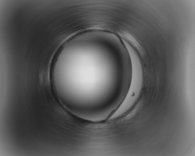 X0000090750884200707201447