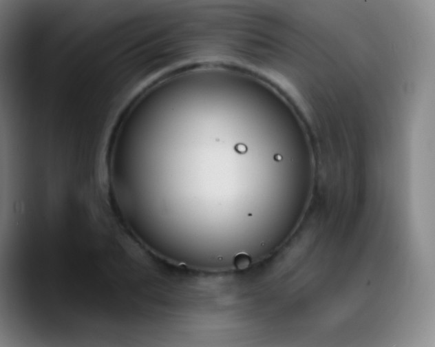 X0000090750887200707201447