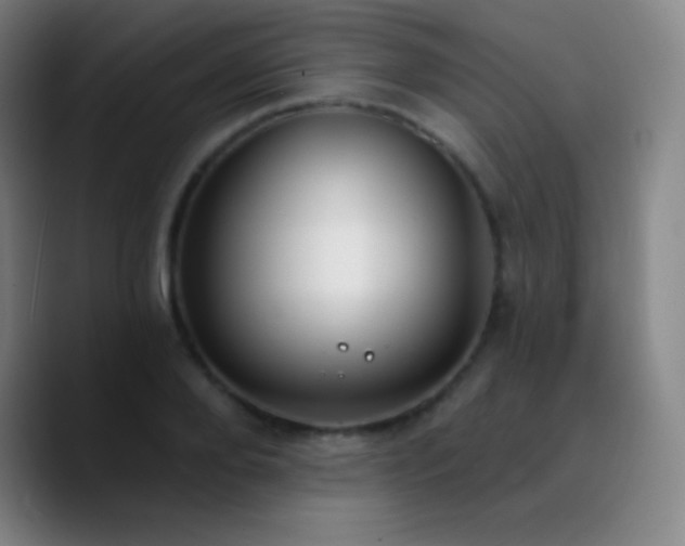 X0000090750888200707201447