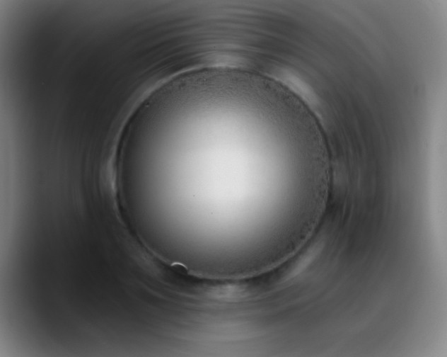 X0000090750891200707201447