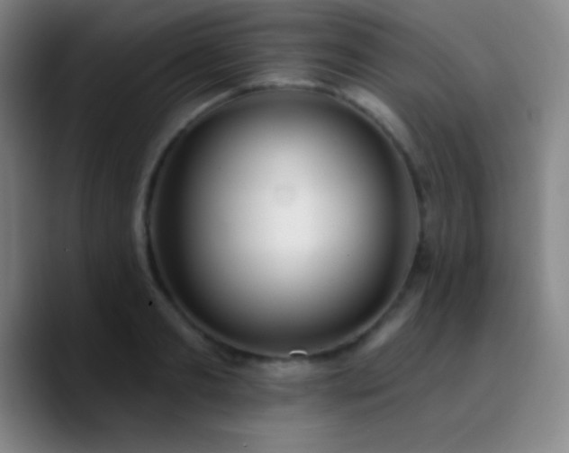 X0000090750893200707201447
