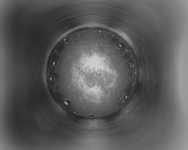 X0000090750895200707201447