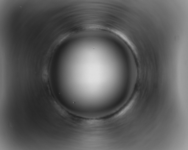 X0000090750897200707201447