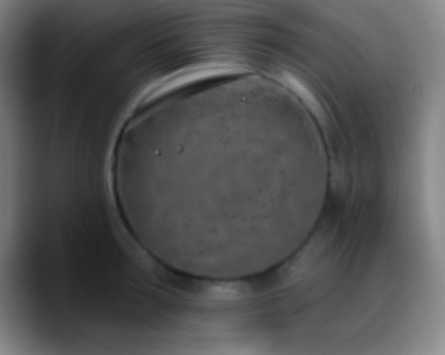 X0000090750899200707201447