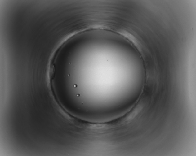 X0000090750902200707201447