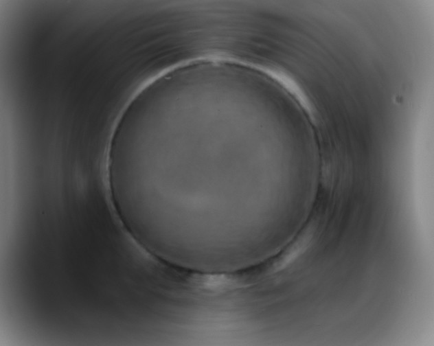 X0000090750903200707201447
