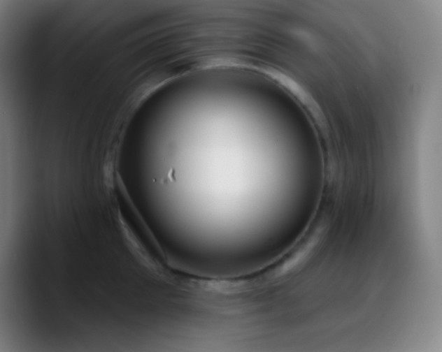 X0000090750905200707201447