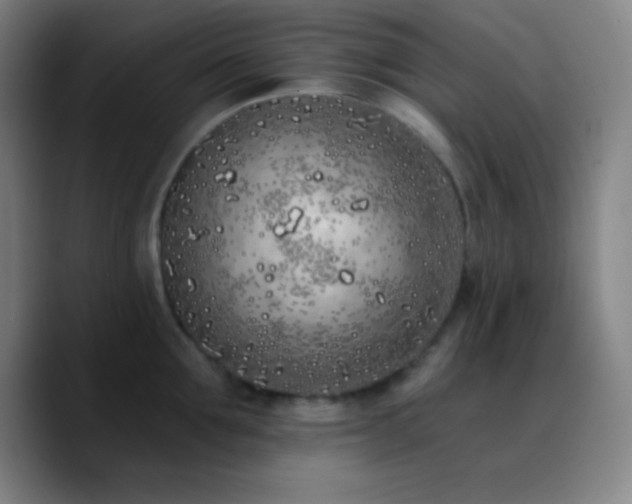 X0000090750907200707201447