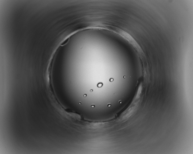 X0000090750908200707201447