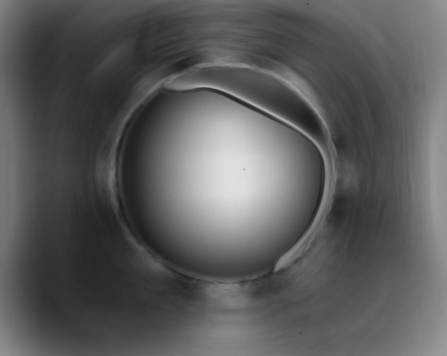 X0000090750909200707201447