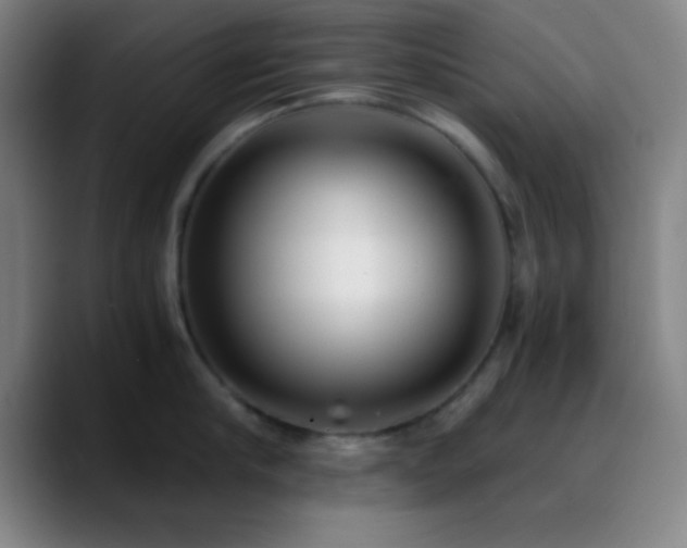 X0000090750910200707201447