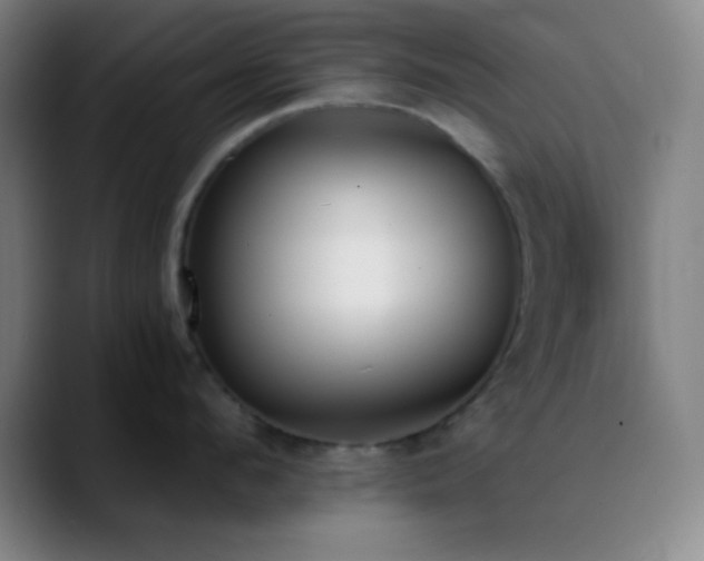 X0000090750912200707201447