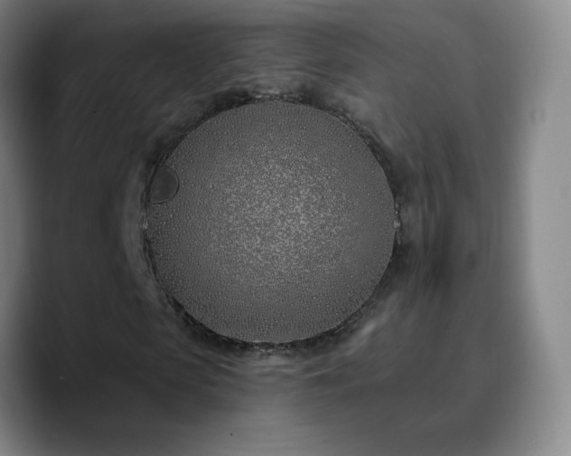 X0000090750913200707201446
