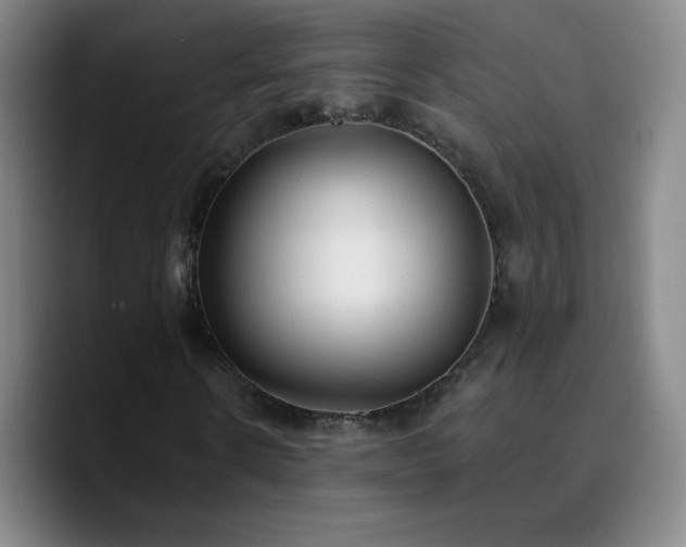 X0000090750914200707201446