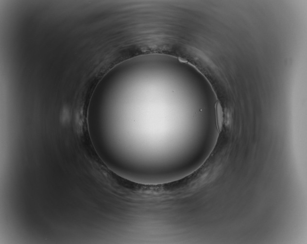 X0000090750915200707201446