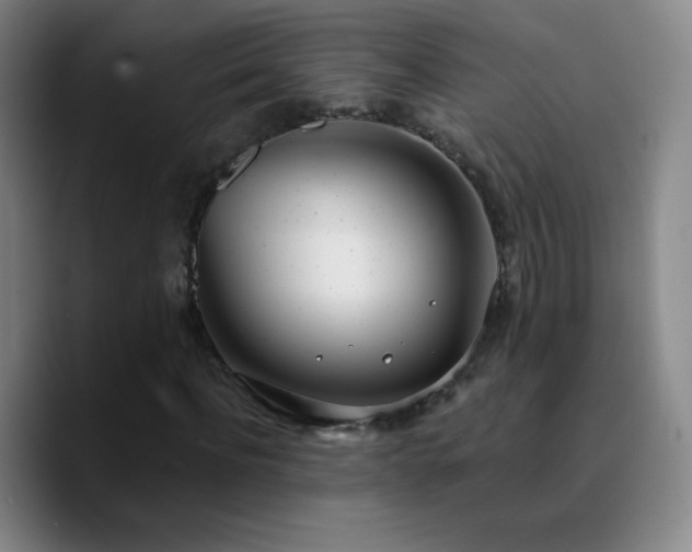 X0000090750916200707201446
