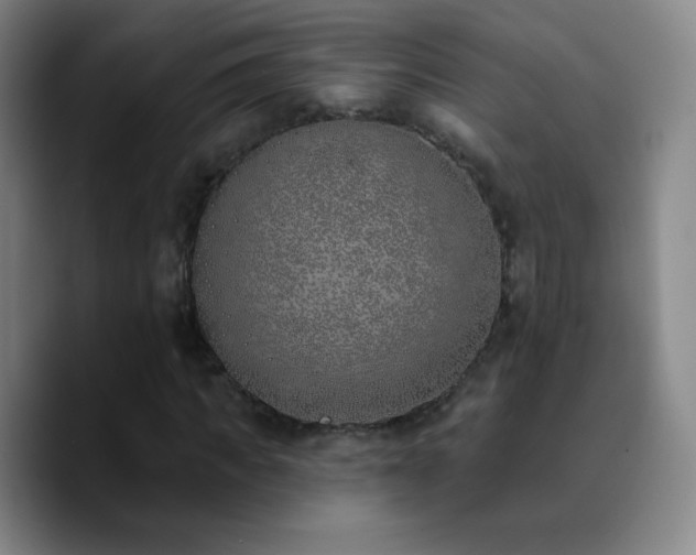 X0000090750917200707201446