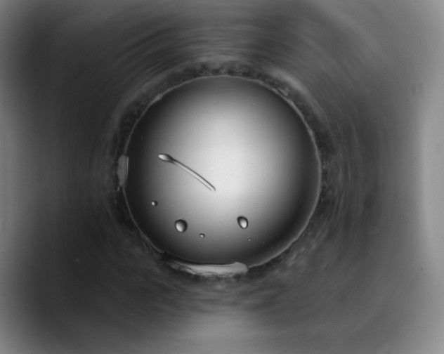 X0000090750919200707201446