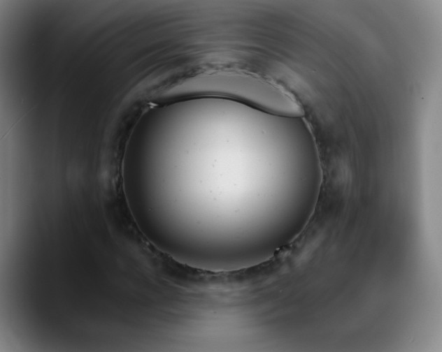X0000090750920200707201446