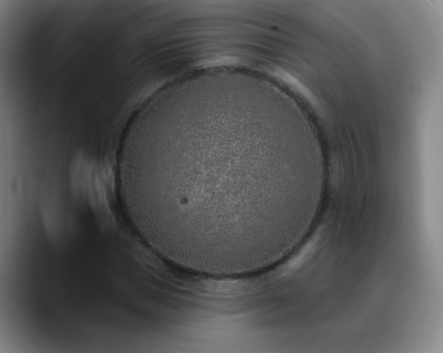 X0000090750921200707201446