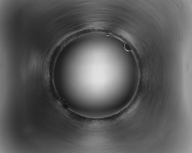 X0000090750923200707201446