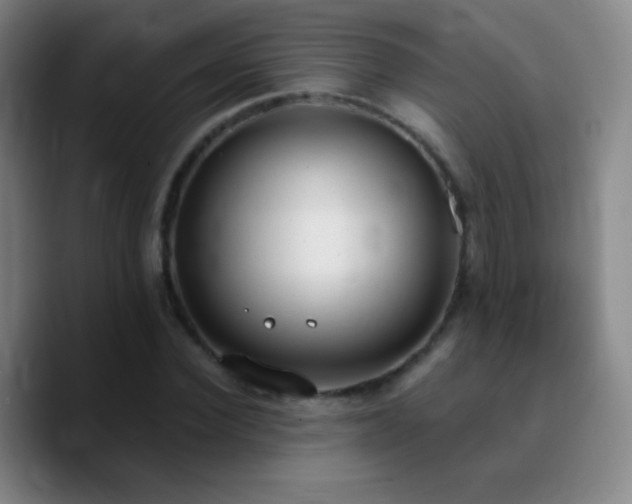 X0000090750924200707201446