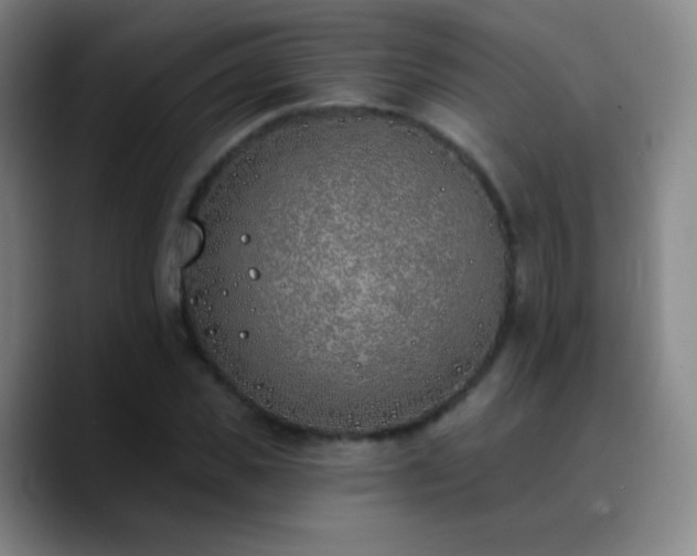 X0000090750925200707201446