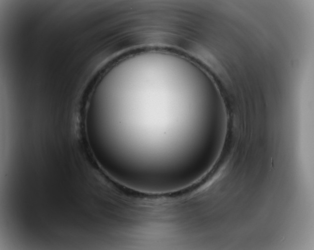 X0000090750926200707201446