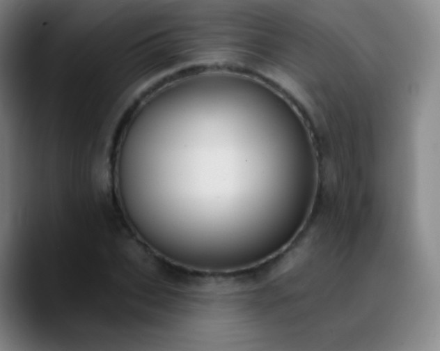 X0000090750927200707201446