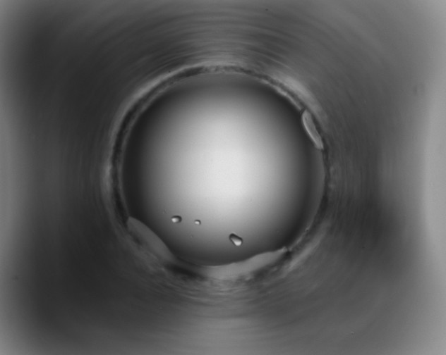 X0000090750928200707201446