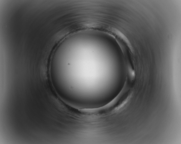 X0000090750930200707201446