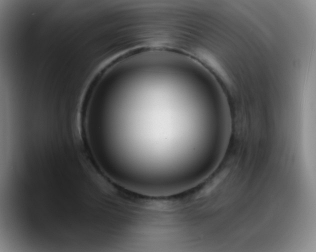 X0000090750932200707201446