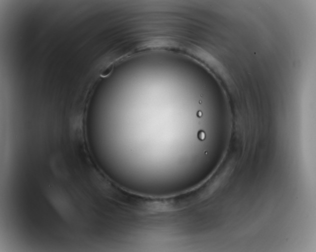 X0000090750937200707201446