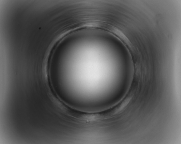 X0000090750939200707201446